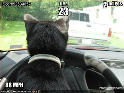 cat-is-in-a-racing-car-game.jpg