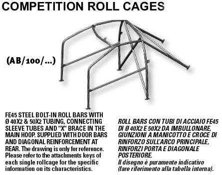 rollcage2.jpg